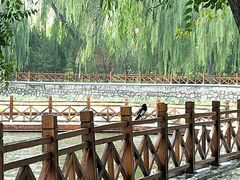 -迎泽公园