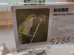 -帕帕拉兹宠物(亚洲旗舰店)