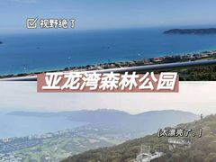-亚龙湾热带天堂森林公园