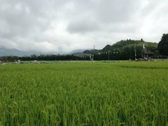 -古田会议纪念馆