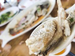 -七鲜渔港美食餐厅(巽寮湾海景店)