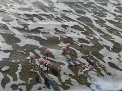 -青澳湾北回归线广场