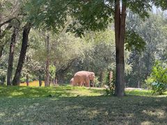 -北京野生动物园