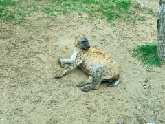 -北京野生动物园