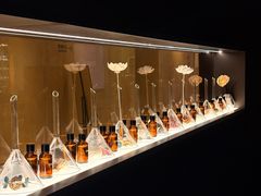-安屿an·spa(卓悦中心商场店)