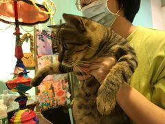 -恋物百货商店(华侨城店)