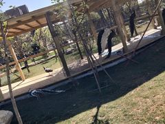 -云南艺术学院(呈贡校区)