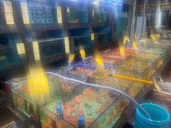 -新金盛·海鲜酒楼(盐田店)