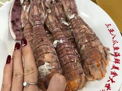-四姑娘川味海鲜(八爪鱼店)