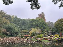 -杭州植物园