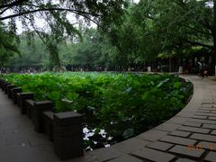 -四川大学(华西校区)