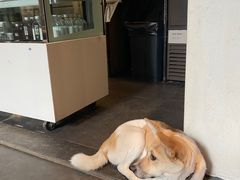 门面-慢象咖啡(台江店)
