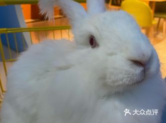 门票：45/位三馆通玩 星空