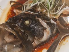 清蒸龙胆鱼-紫阳海鲜楼·传承闽味(长乐路总店)