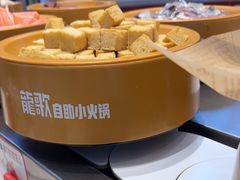 -龍歌自助小火锅(崂山丽达店)