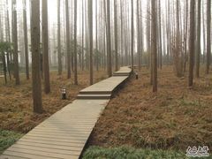 -上海怡沁园度假酒店