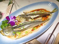 -33号大院·青岛本帮菜(五四广场店)