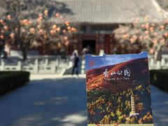 -香山公园
