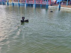 -蓬莱欧乐堡梦幻世界