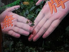 -无牌咖啡&酒馆