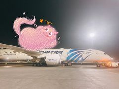 -米兰马尔彭萨国际机场