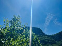 -幽岚山·童话森林