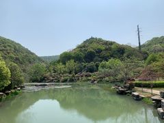 -桃花岭景区