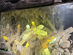 -湖南省地质博物馆