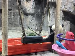 -栾川竹海野生动物园