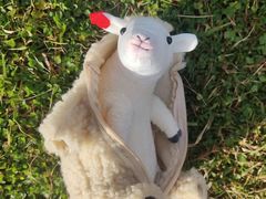 -神户市立六甲山牧场