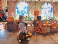 -郑州方特梦幻王国