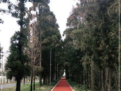 -上海长兴岛郊野公园