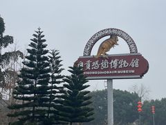 -自贡恐龙博物馆