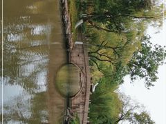 -瀛洲公园