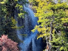 -稻城亚丁景区-冲古草甸