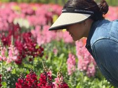 -春花秋色城市公园