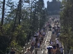 -德记山水豆腐花
