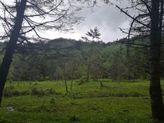 -硗碛藏寨·神木垒景区