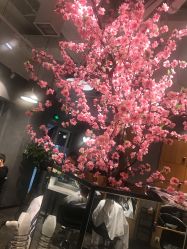 -时尚殿堂明星门店