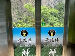 -鹿院坪生态旅游景区