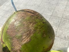 -外伶仃岛海鲜市场