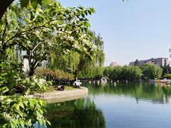 -团结湖公园