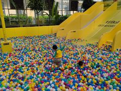 -南宫五洲植物乐园