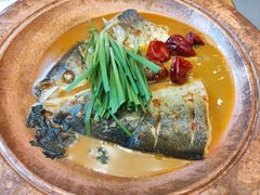 -饭怕鱼(阳光100店)