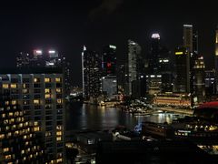 -新加坡泛太平洋酒店