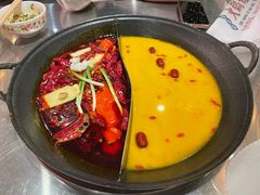 -朱光玉火锅馆(正弘城店)