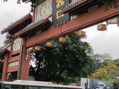 -胖娃古镇鸡杂(磁器口总店)