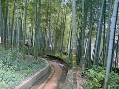 -宜兴张公洞