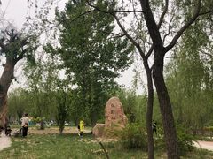 -杨柳青庄园