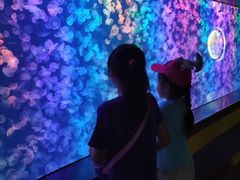 -烟台海昌鲸鲨海洋公园